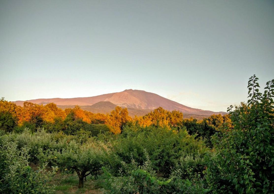 Mount Etna Chalet Maletto 외부 사진