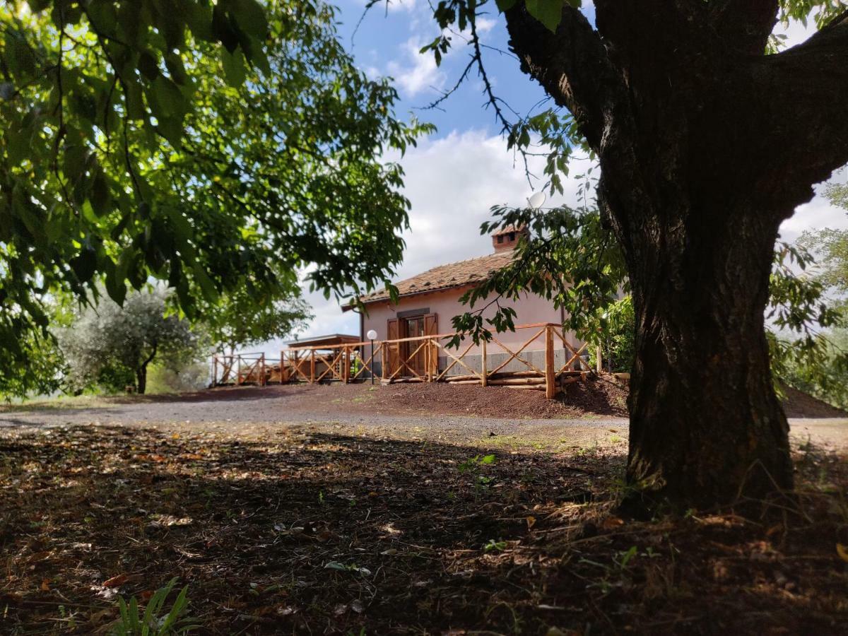 Mount Etna Chalet Maletto 외부 사진